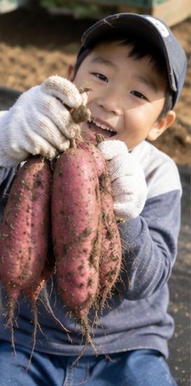 野菜畑