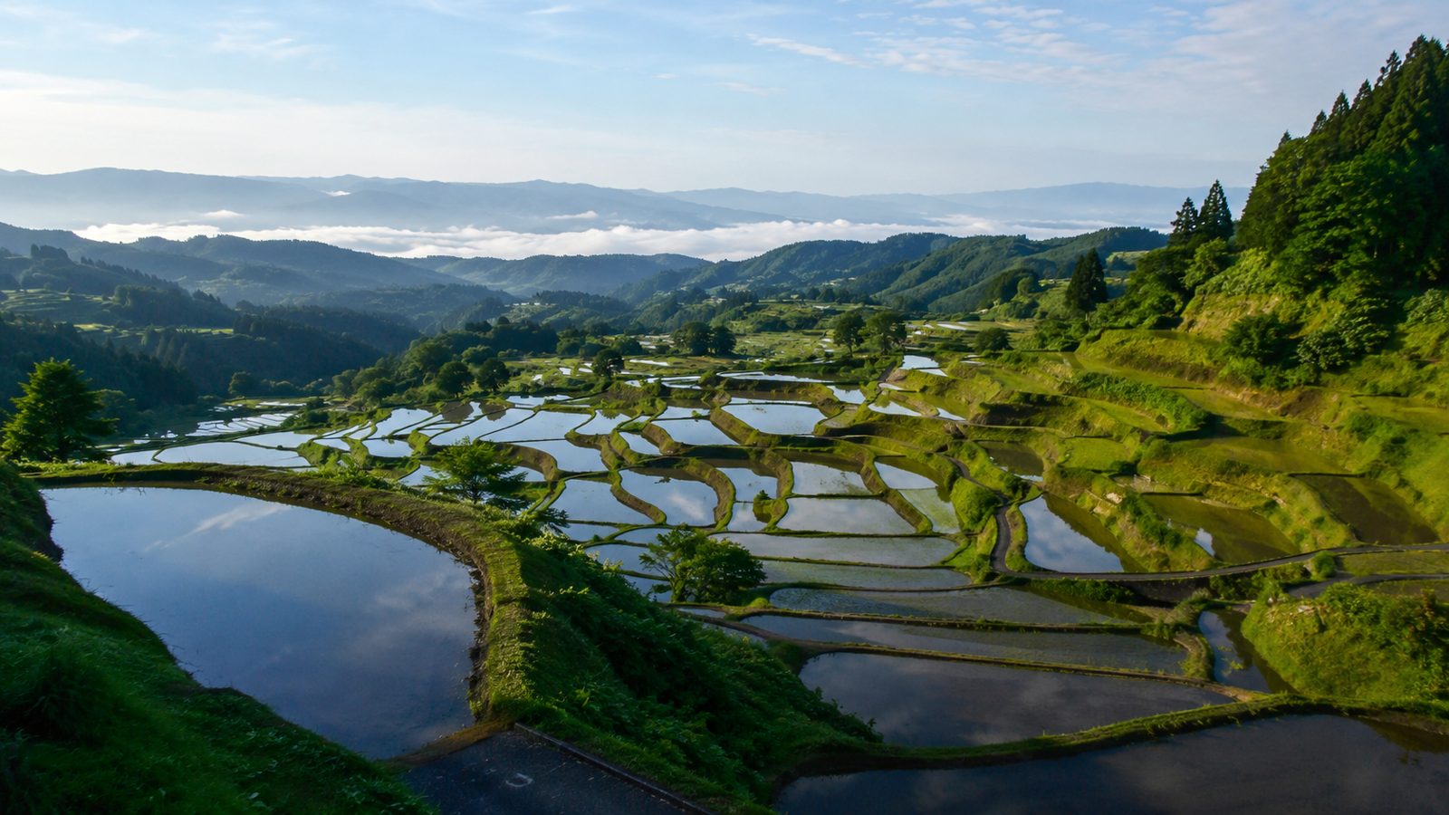 山を背にした棚田